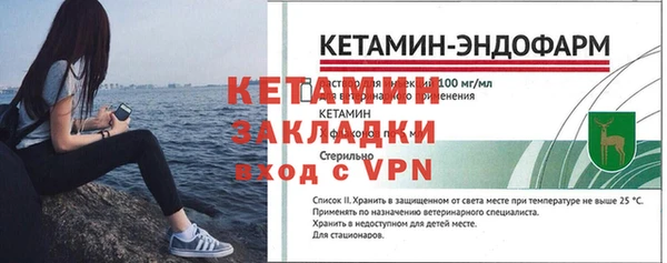твердый Пересвет