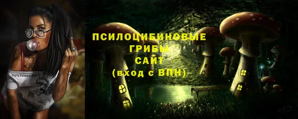 jwh Гусев