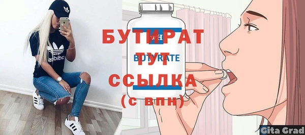 хмурый Гусь-Хрустальный