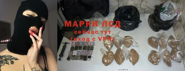 хмурый Гусь-Хрустальный