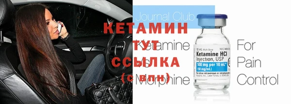 твердый Пересвет