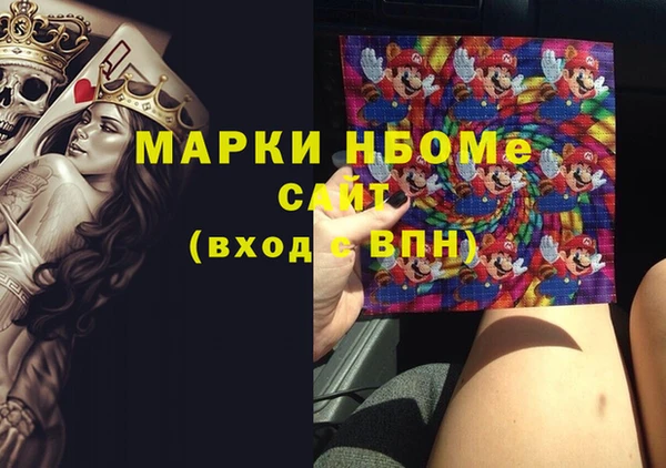 хмурый Гусь-Хрустальный