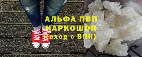 твердый Пересвет