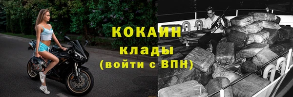 хмурый Гусь-Хрустальный