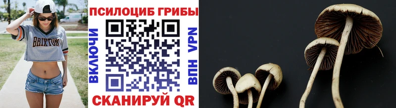 Псилоцибиновые грибы мухоморы  Сенгилей 